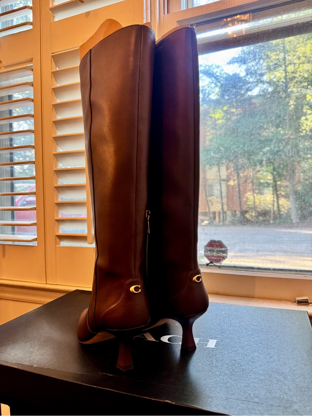 Coach Sculpted C Tall Dark Brown Leather Over-the-Knee Boots with Gold Accent